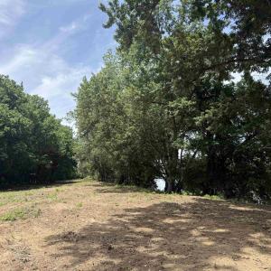 Photo #73 of PAYNES POND RD, SCOTTSVILLE, VA 118.0 acres
