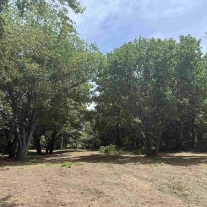 Photo #70 of PAYNES POND RD, SCOTTSVILLE, VA 118.0 acres