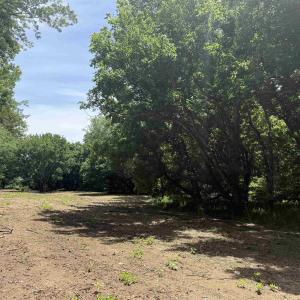 Photo #3 of PAYNES POND RD, SCOTTSVILLE, VA 118.0 acres