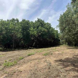 Photo #8 of PAYNES POND RD, SCOTTSVILLE, VA 118.0 acres