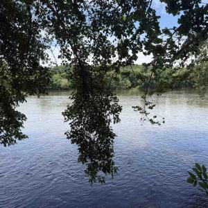 Photo #12 of PAYNES POND RD, SCOTTSVILLE, VA 118.0 acres