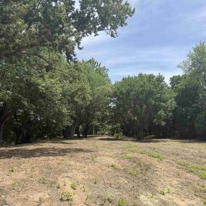 Photo #69 of PAYNES POND RD, SCOTTSVILLE, VA 118.0 acres