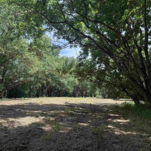 Photo #66 of PAYNES POND RD, SCOTTSVILLE, VA 118.0 acres