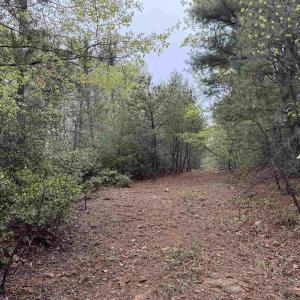 Photo #29 of BLACK ROCK LN, INDEPENDENCE, VA 82.0 acres