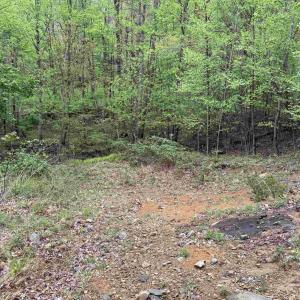 Photo #6 of BLACK ROCK LN, INDEPENDENCE, VA 82.0 acres