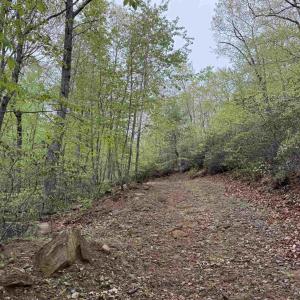Photo #3 of BLACK ROCK LN, INDEPENDENCE, VA 82.0 acres