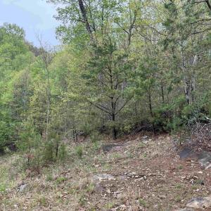 Photo #11 of BLACK ROCK LN, INDEPENDENCE, VA 82.0 acres