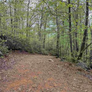 Photo #4 of BLACK ROCK LN, INDEPENDENCE, VA 82.0 acres