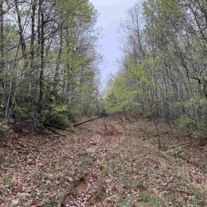 Photo #22 of BLACK ROCK LN, INDEPENDENCE, VA 82.0 acres