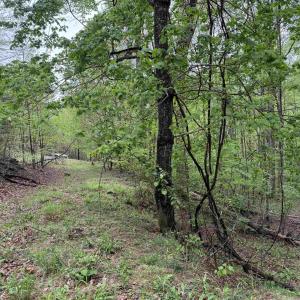 Photo #8 of BLACK ROCK LN, INDEPENDENCE, VA 82.0 acres