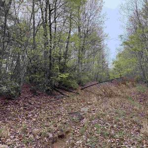 Photo #25 of BLACK ROCK LN, INDEPENDENCE, VA 82.0 acres