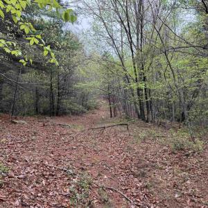 Photo #31 of BLACK ROCK LN, INDEPENDENCE, VA 82.0 acres