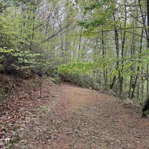 Photo #5 of BLACK ROCK LN, INDEPENDENCE, VA 82.0 acres