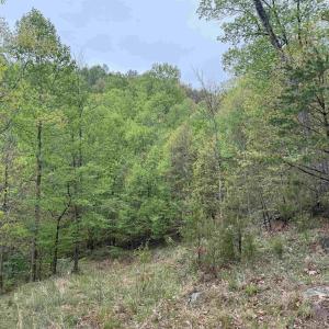 Photo #12 of BLACK ROCK LN, INDEPENDENCE, VA 82.0 acres