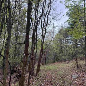 Photo #24 of BLACK ROCK LN, INDEPENDENCE, VA 82.0 acres