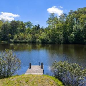 Photo #5 of 317 LAKE VIEW LN, PALMYRA, VA 1,156.6 acres
