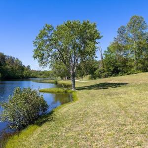 Photo #7 of 317 LAKE VIEW LN, PALMYRA, VA 1,156.6 acres