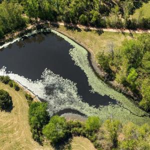 Photo #27 of 317 LAKE VIEW LN, PALMYRA, VA 1,156.6 acres