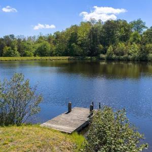 Photo #6 of 317 LAKE VIEW LN, PALMYRA, VA 1,156.6 acres