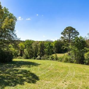 Photo #19 of 317 LAKE VIEW LN, PALMYRA, VA 1,156.6 acres