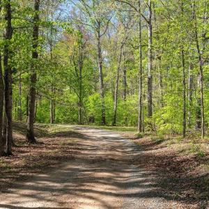 Photo #3 of 317 LAKE VIEW LN, PALMYRA, VA 1,156.6 acres