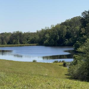 Photo #1 of 317 LAKE VIEW LN, PALMYRA, VA 1,156.6 acres