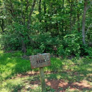 Flat and wooded land offers privacy.