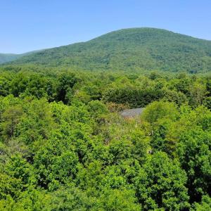 Photo #16 of 1128 STONEY CREEK WEST, NELLYSFORD, VA 0.9 acres