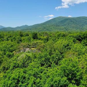 Photo #17 of 1128 STONEY CREEK WEST, NELLYSFORD, VA 0.9 acres