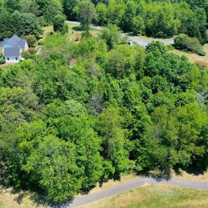 Photo #11 of 1128 STONEY CREEK WEST, NELLYSFORD, VA 0.9 acres