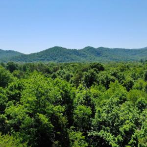 Photo #19 of 1128 STONEY CREEK WEST, NELLYSFORD, VA 0.9 acres