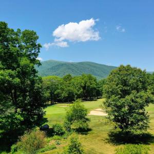 Photo #20 of 1128 STONEY CREEK WEST, NELLYSFORD, VA 0.9 acres