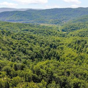 Photo #11 of TBD POORHOUSE RD, CHARLOTTESVILLE, VA 84.8 acres