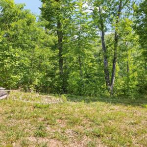it feels like your own retreat.  Property is surrounded by land in conservation easement.