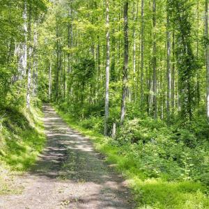 Photo #3 of TBD POORHOUSE RD, CHARLOTTESVILLE, VA 84.8 acres