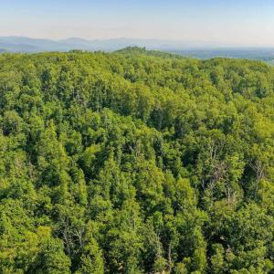 Photo #22 of TBD POORHOUSE RD, CHARLOTTESVILLE, VA 84.8 acres
