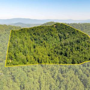 easement w/appr 6 acres carved out for building and driveway maintenance.