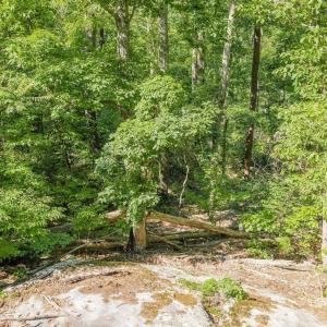 Photo #25 of TBD POORHOUSE RD, CHARLOTTESVILLE, VA 84.8 acres