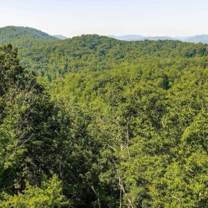 Photo #26 of TBD POORHOUSE RD, CHARLOTTESVILLE, VA 84.8 acres