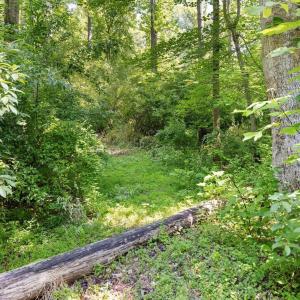 mountain biking and ATV trails.