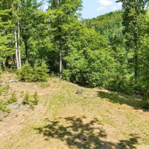 Photo #19 of TBD POORHOUSE RD, CHARLOTTESVILLE, VA 84.8 acres