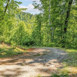Photo #17 of TBD POORHOUSE RD, CHARLOTTESVILLE, VA 84.8 acres
