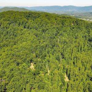 Photo #7 of TBD POORHOUSE RD, CHARLOTTESVILLE, VA 84.8 acres