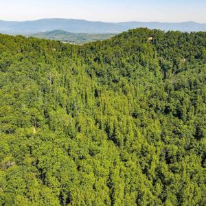 of over 1,200+ acres of land protected by conservation easement or as part of the Ragged Mountain Reservoir.