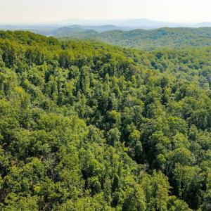 Photo #21 of TBD POORHOUSE RD, CHARLOTTESVILLE, VA 84.8 acres