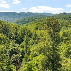 Photo #28 of TBD POORHOUSE RD, CHARLOTTESVILLE, VA 84.8 acres