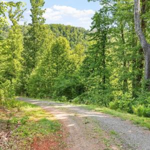 Photo #16 of TBD POORHOUSE RD, CHARLOTTESVILLE, VA 84.8 acres