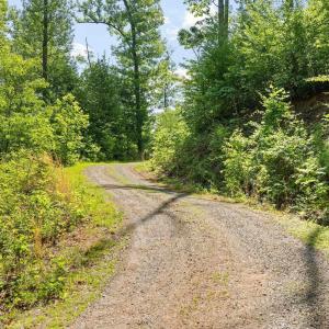 Photo #15 of TBD POORHOUSE RD, CHARLOTTESVILLE, VA 84.8 acres