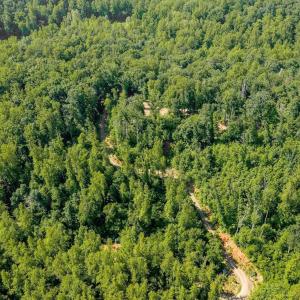 Photo #13 of TBD POORHOUSE RD, CHARLOTTESVILLE, VA 84.8 acres