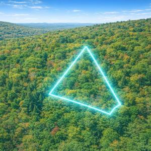 Photo #1 of LOT 168 FOREST RIDGE TRL, FORT VALLEY, VA 0.7 acres